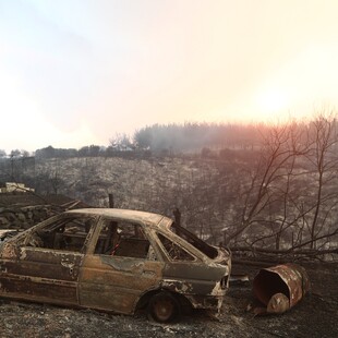 Φωτιές: 1,7 εκατ. στρέμματα έχουν καεί σε 67 δασικές πυρκαγιές από την αρχή του έτους