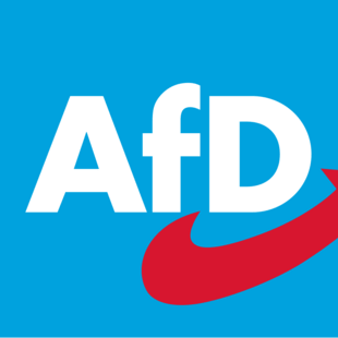 «Οι αληθινοί άνδρες είναι δεξιοί»: Το AfD προσπαθεί να δελεάσει νεαρούς ψηφοφόρους μέσω TikTok