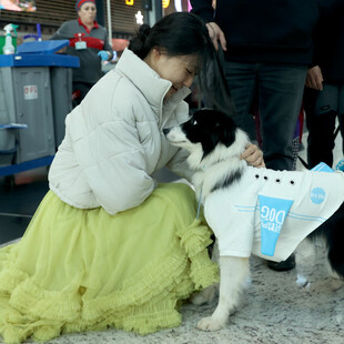 Το αεροδρόμιο της Κωνσταντινούπολης θέλει να χαλαρώσει τους επιβάτες προσλαμβάνοντας 5 σκυλιά θεραπείας