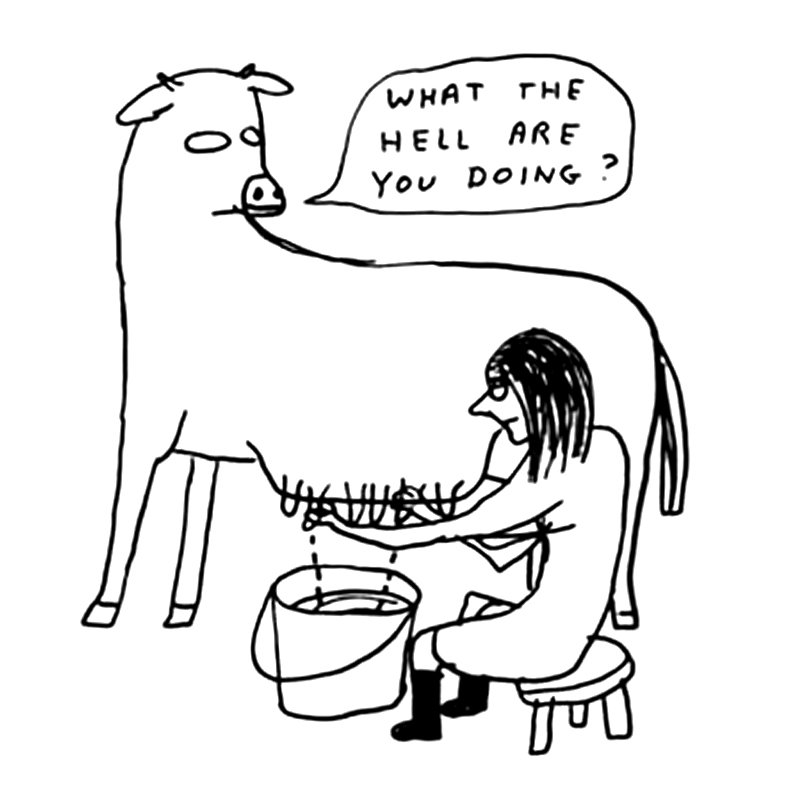 David Shrigley