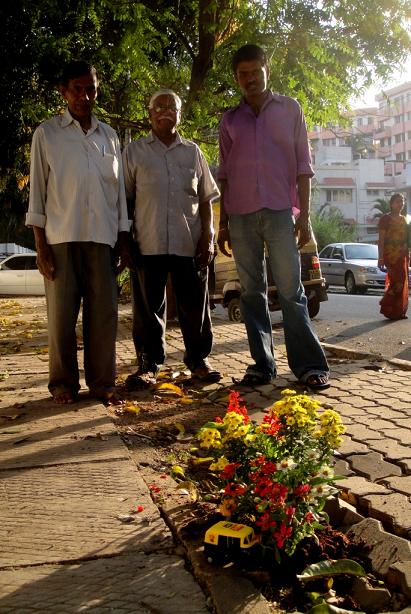 The pothole Gardener