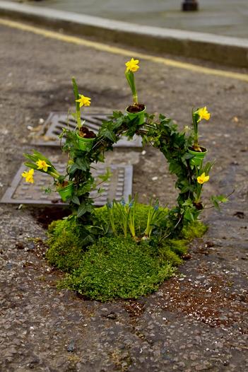 The pothole Gardener