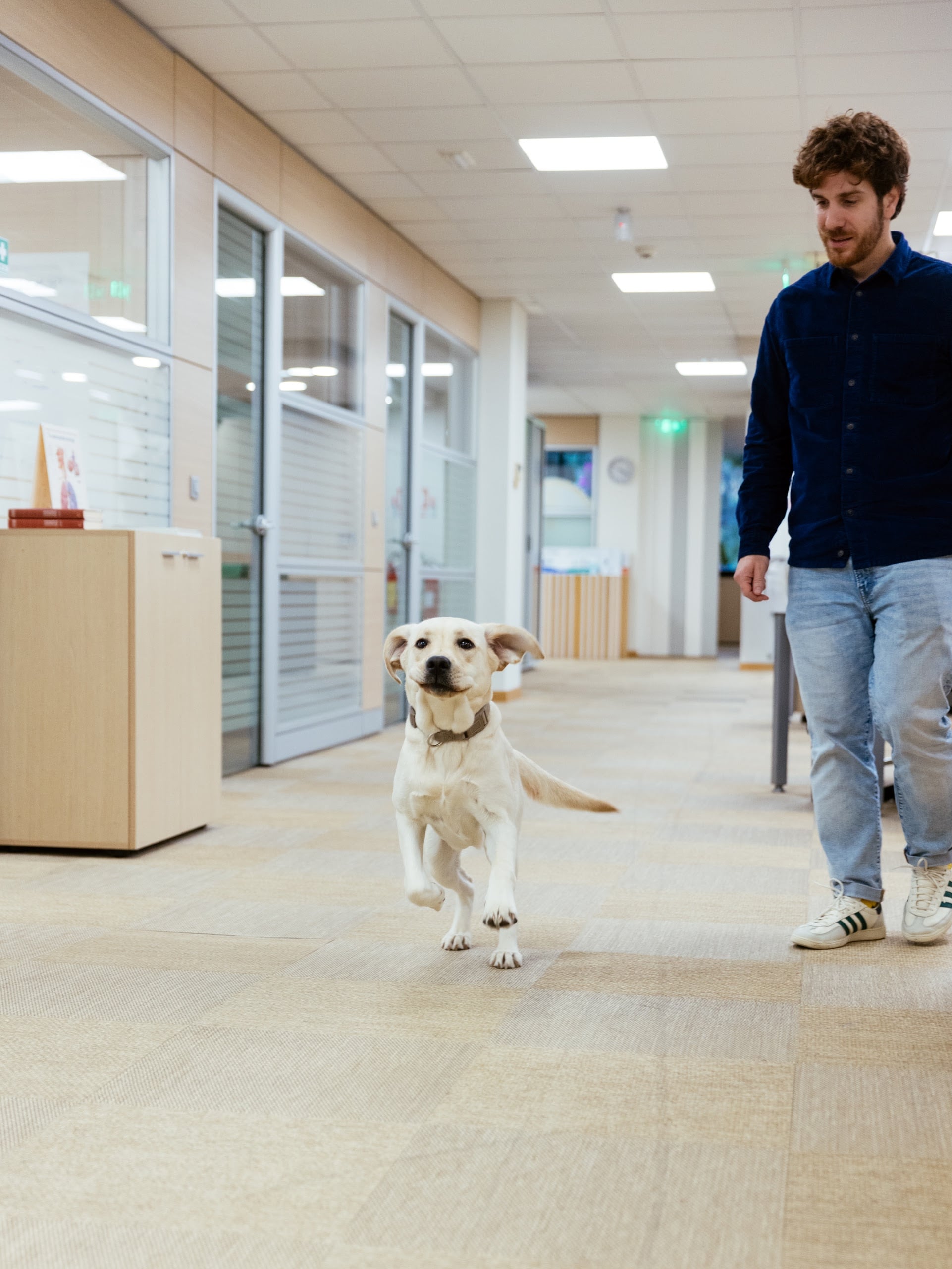 Μια ημέρα με την Έθελ στην MSD: Πώς ένας σκύλος -οδηγός αλλάζει την ζωή στο γραφείο