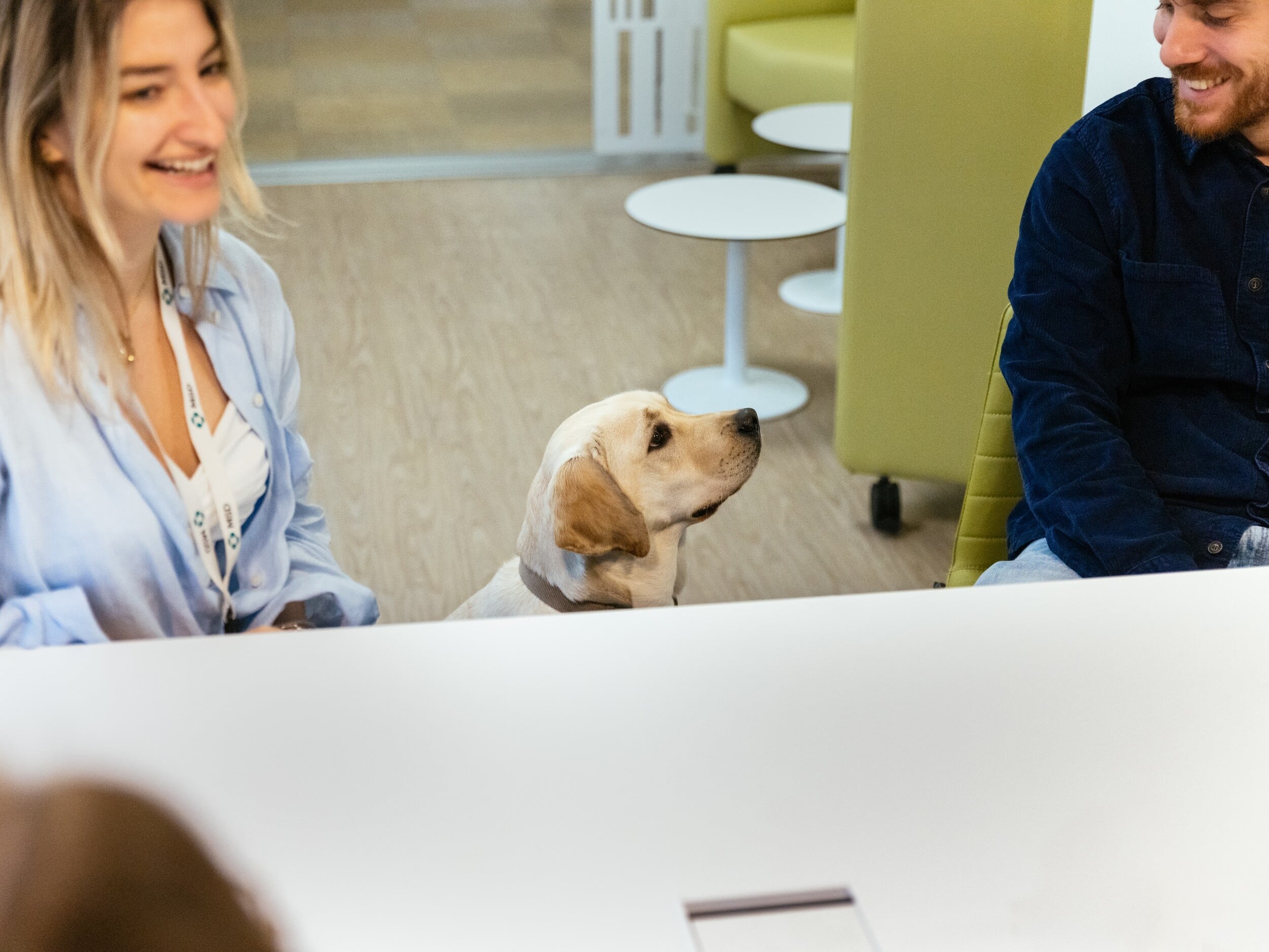 Μια ημέρα με την Έθελ στην MSD: Πώς ένας σκύλος -οδηγός αλλάζει την ζωή στο γραφείο