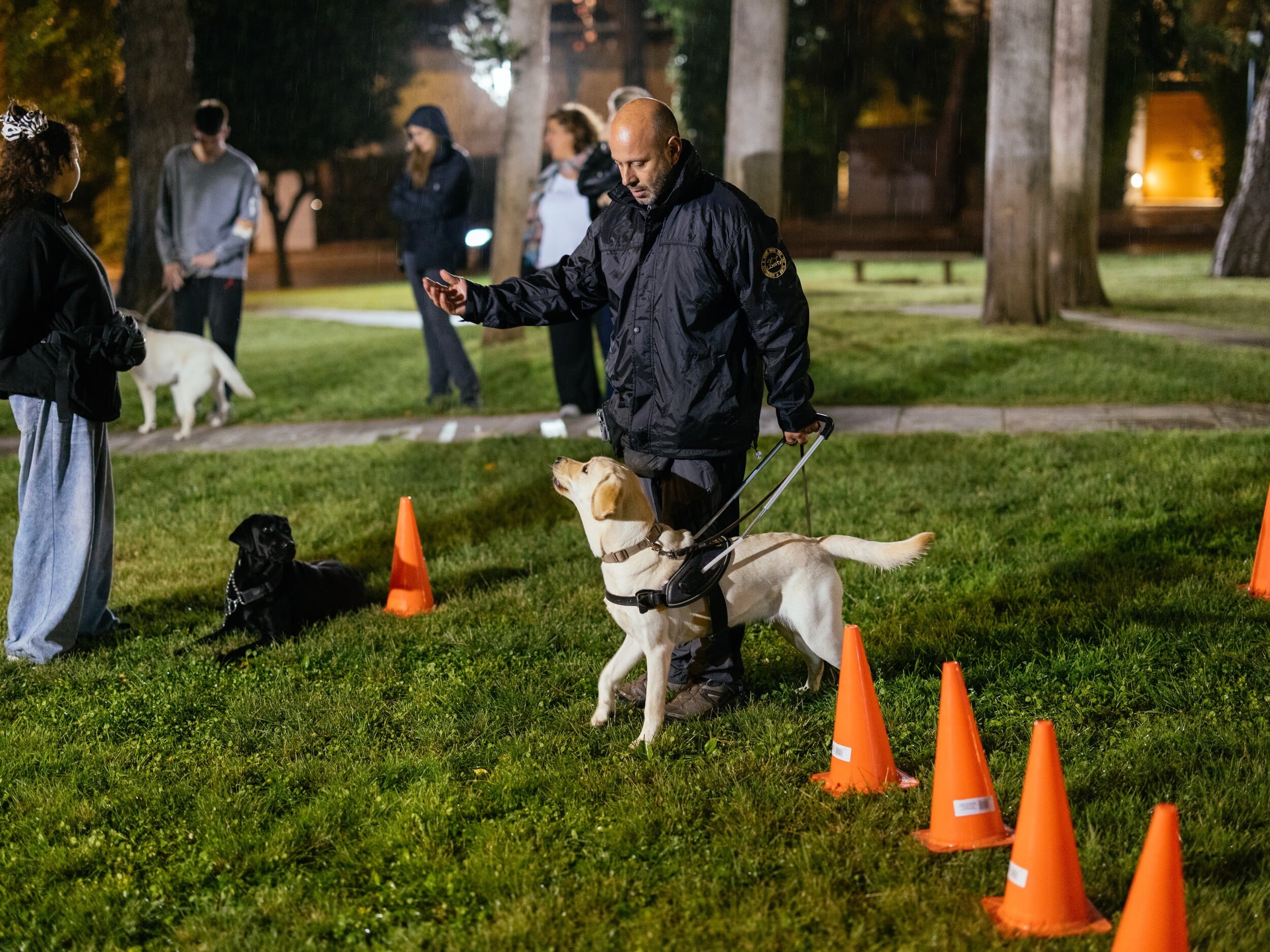 Μια ημέρα με την Έθελ στην MSD: Πώς ένας σκύλος -οδηγός αλλάζει την ζωή στο γραφείο