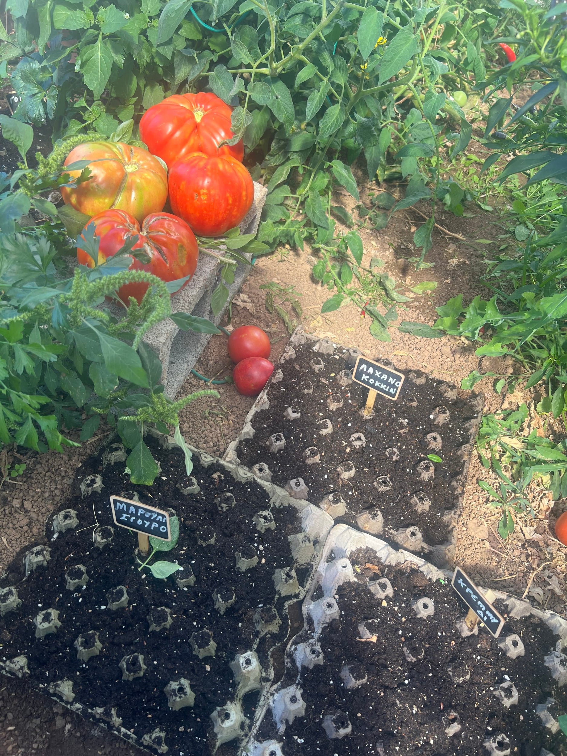 Το Kalavrita Botanica Hotel & Spa καλλιεργεί την οικολογική συνείδηση στους επισκέπτες του 