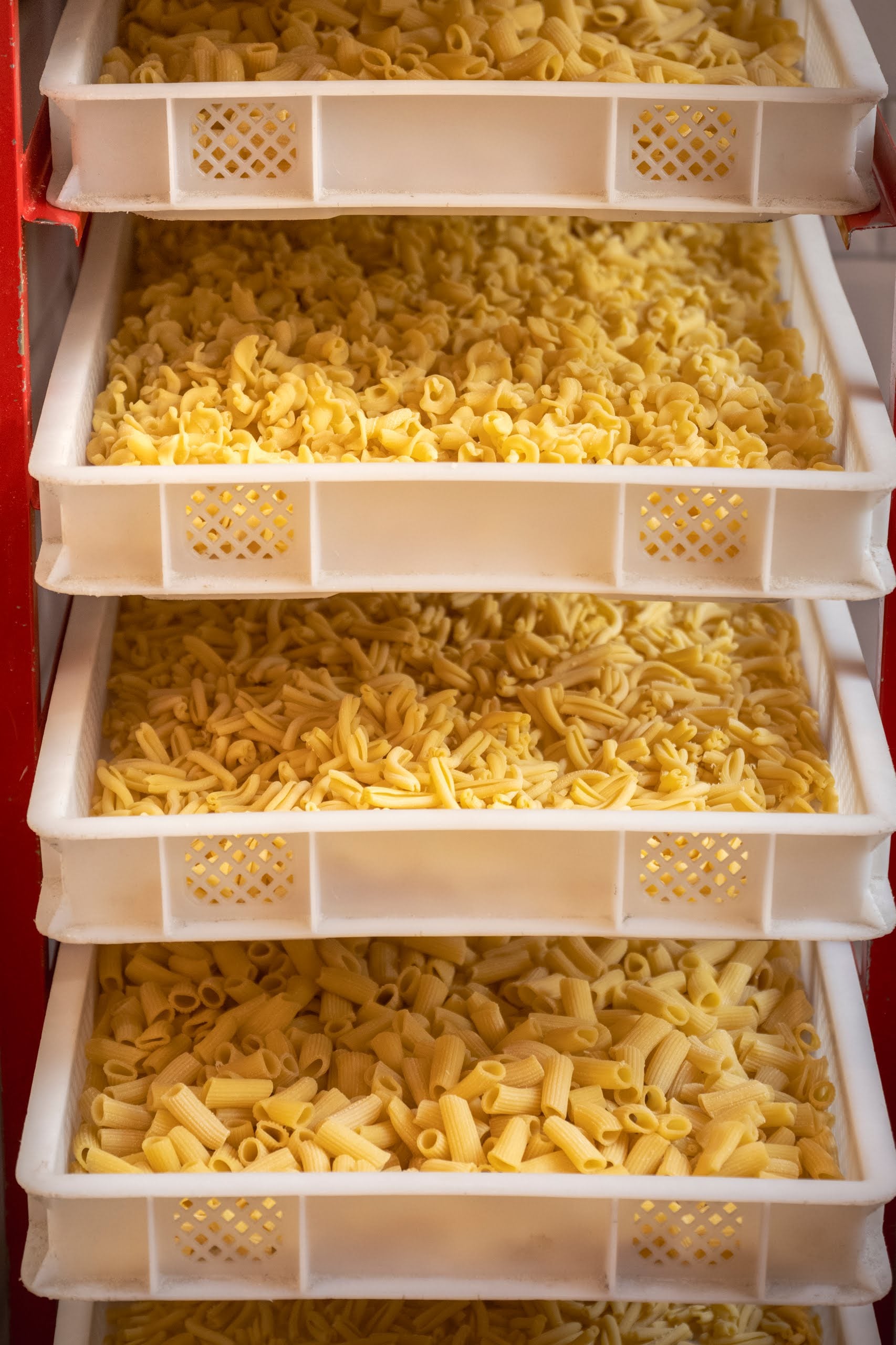 Mailo’s: Tα φρέσκα ζυμαρικά στο κόκκινο cup που αγαπά η Αθήνα