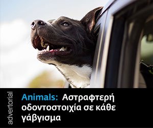 Pedigree Μήνας Στοματικής Υγιεινής Desktop TD 1 Jun 17