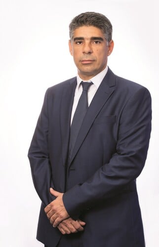 kalimeris