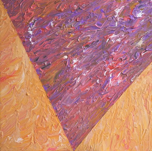 SEIMS: V [Bird’s Robe Records / dunk!records, 2025]