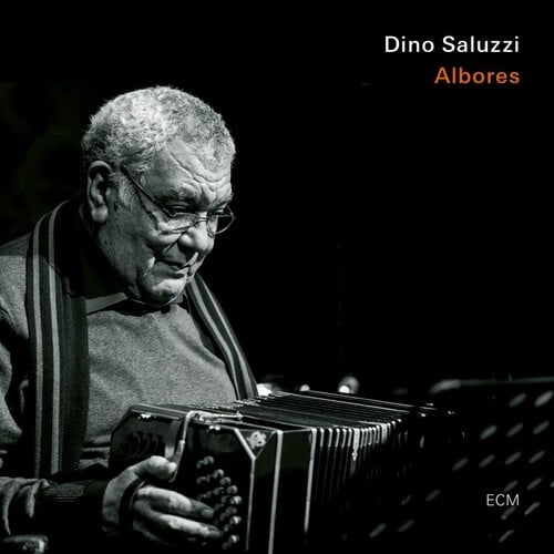 DINO SALUZZI