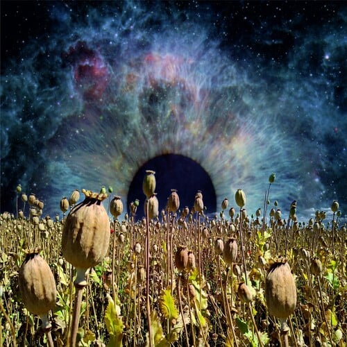 MORE EXPERIENCE: Horizons of Events [Sound Effect Records, 2025]