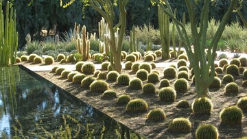 Sunnylands: Ένας φανταστικός κήπος για όσους αγαπούν τους κάκτους