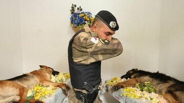 Σφαγεία διάφορα