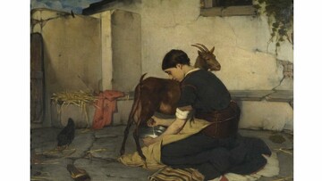 Τζουμέρκα 3.0, η αρκούδα της Πίνδου