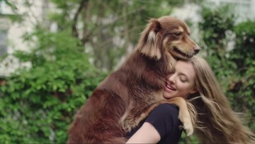 Ο καλύτερος φίλος της Amanda Seyfried είναι ο σκύλος της