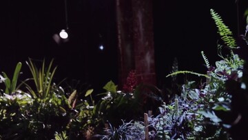 Το πρώτο υπόγειο πάρκο στον κόσμο