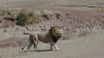 Ένας ύμνος για την Αφρική με άγρια ζώα και μοναδικά φυσικά τοπία