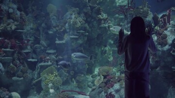 Η μοντέρνα ιστορία μιας φιλίας που σπάει τα σύνορα των ειδών