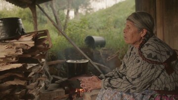 Οι πεταλούδες που επιστρέφουν στο Μεξικό, είναι οι ψυχές των νεκρών