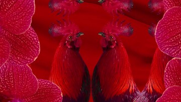 Μια απολαυστική κατακόκκινη γιορτή