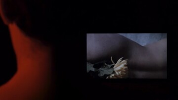 Η ταινία «Λουλούδια και Κώλοι» του Χρήστου Μασσαλά στο Νowness (NSFW)