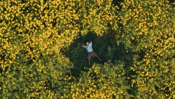 Η ζωή μου μέσα στις μαργαρίτες