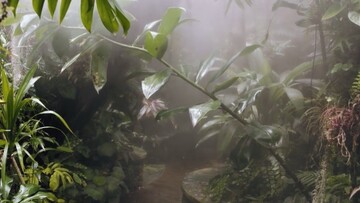 Στην καταπράσινη όαση του σχεδιαστή της Chanel, Pascal Brault