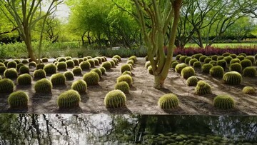 Sunnylands: Ένας υπέροχος κήπος γεμάτος με κάκτους
