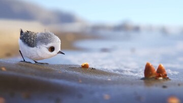 «Piper»: Άλλο ένα αριστούργημα από την Pixar