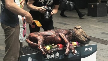 Μήπως το παρατράβηξαν οι vegans με τις διαμαρτυρίες για τα δικαιώματα των ζώων;