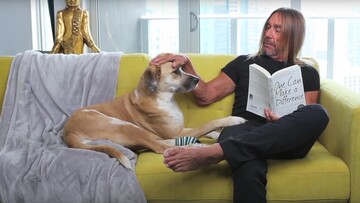 Iggy Pop και Nick Cave: «Γίνε ο άνθρωπος που ο σκύλος σου νομίζει ότι είσαι»