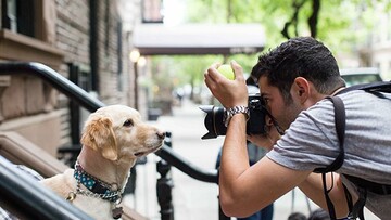Μια μέρα στη ζωή του The Dogist, του πιο διάσημου φωτογράφου σκυλιών της Νέας Υόρκης