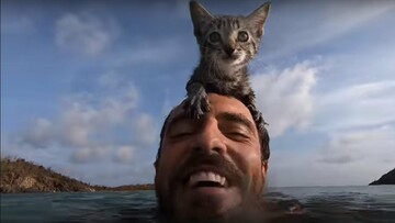 Ένα γατάκι πέντε εβδομάδων λατρεύει τις βουτιές στη θάλασσα