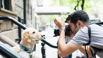 The Dogist: ο Sartorialist των σκύλων― και το εκπληκτικό του instagram