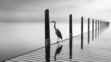 Ασπρόμαυρη γαλήνη στα μινιμαλιστικά τοπία του Γιώργου Διγαλάκη