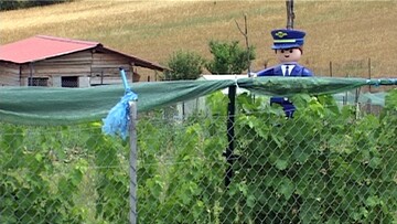 Ο τρόμος του κόρακα. Του Βασίλη Οικονόμου.