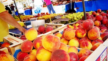 Ροδάκινα: Τώρα είναι η εποχή τους