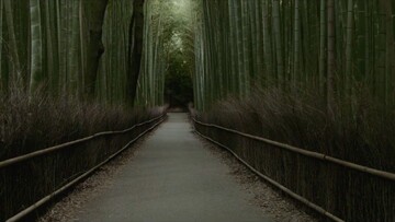 Ο οπτικός επιτάφιος της Γιαπωνέζας ποιήτριας Hikari-san