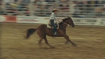 Ένας ινδιάνος και ένα άσπρο άλογο