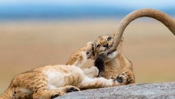 National Geographic: Οι καλύτερες φωτογραφίες του 2018
