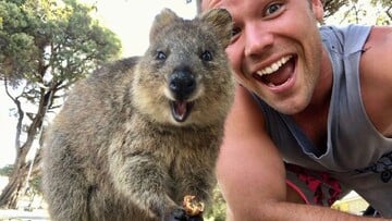 Το quokka είναι το πιο χαρούμενο ζώο στον κόσμο