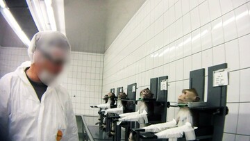 'Εκλεισε το "εργαστήριο του θανάτου" στο Αμβούργο που βασάνιζε ζώα