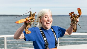 Hannah Hart: ένα 24ωρο στη ζωή μιας επαγγελματία youtuber