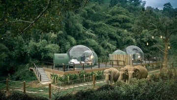 Σε αυτό το resort της Ταϊλάνδης μπορείς να κοιμηθείς πλάι στους ελέφαντες