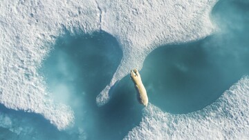 Travel Photographer of the Year 2019: Όλες οι φωτογραφίες που ξεχώρισαν, συζητήθηκαν και συγκίνησαν