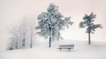Φωτογραφίζοντας το χιονισμένο τοπίο της Φινλανδίας