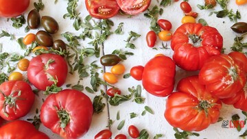 Τι τρώει ο Νίκος Καραθάνος: Ντομάτες