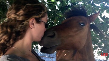 Ο καλύτερός μου φίλος: Το Σκυριανό αλογάκι