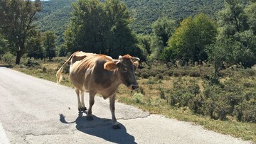 Αρχή φθινοπώρου στα Ζαγοροχώρια